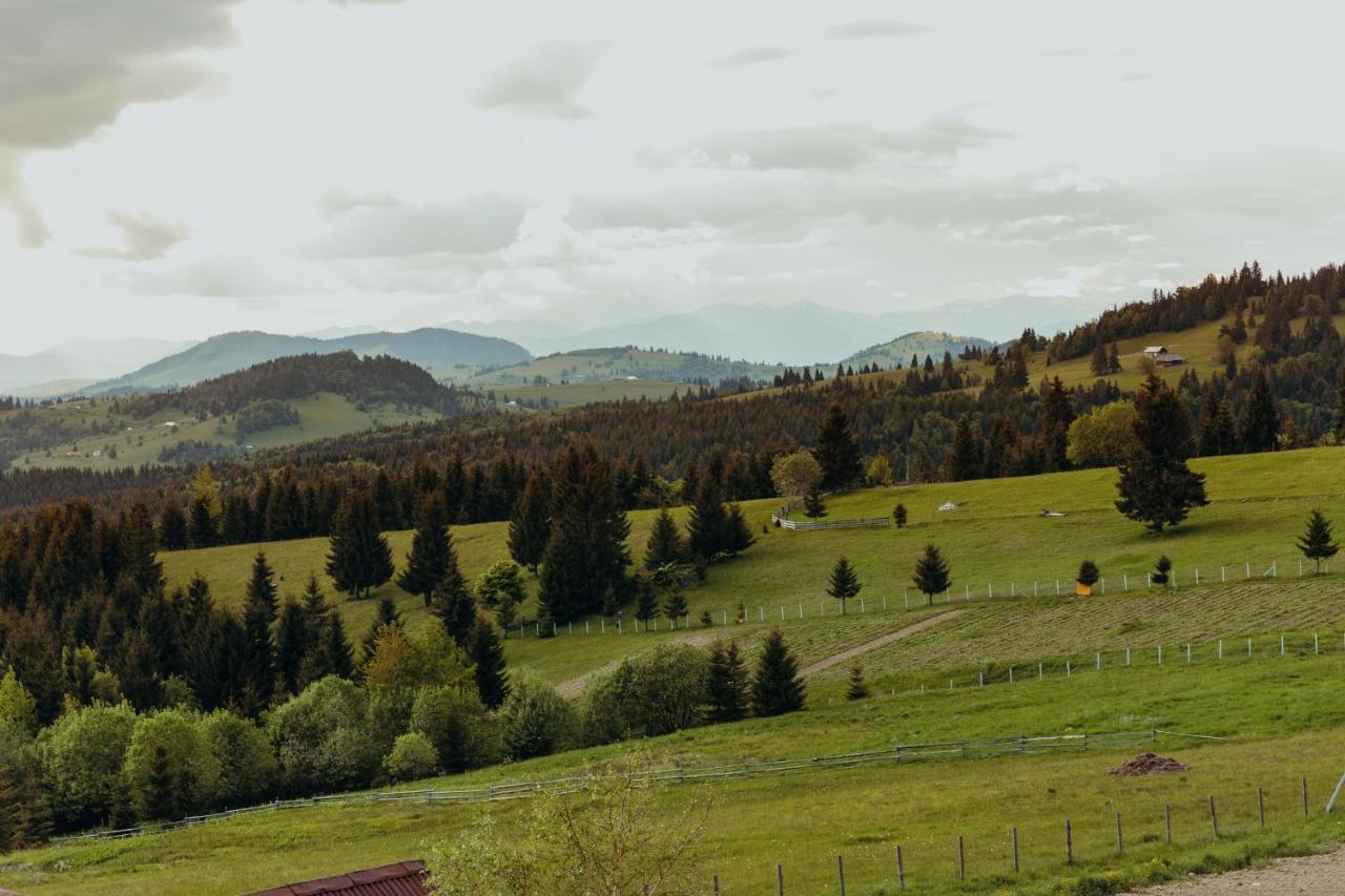 Popasul Transilvania Piatra Fântânele Eksteriør bilde