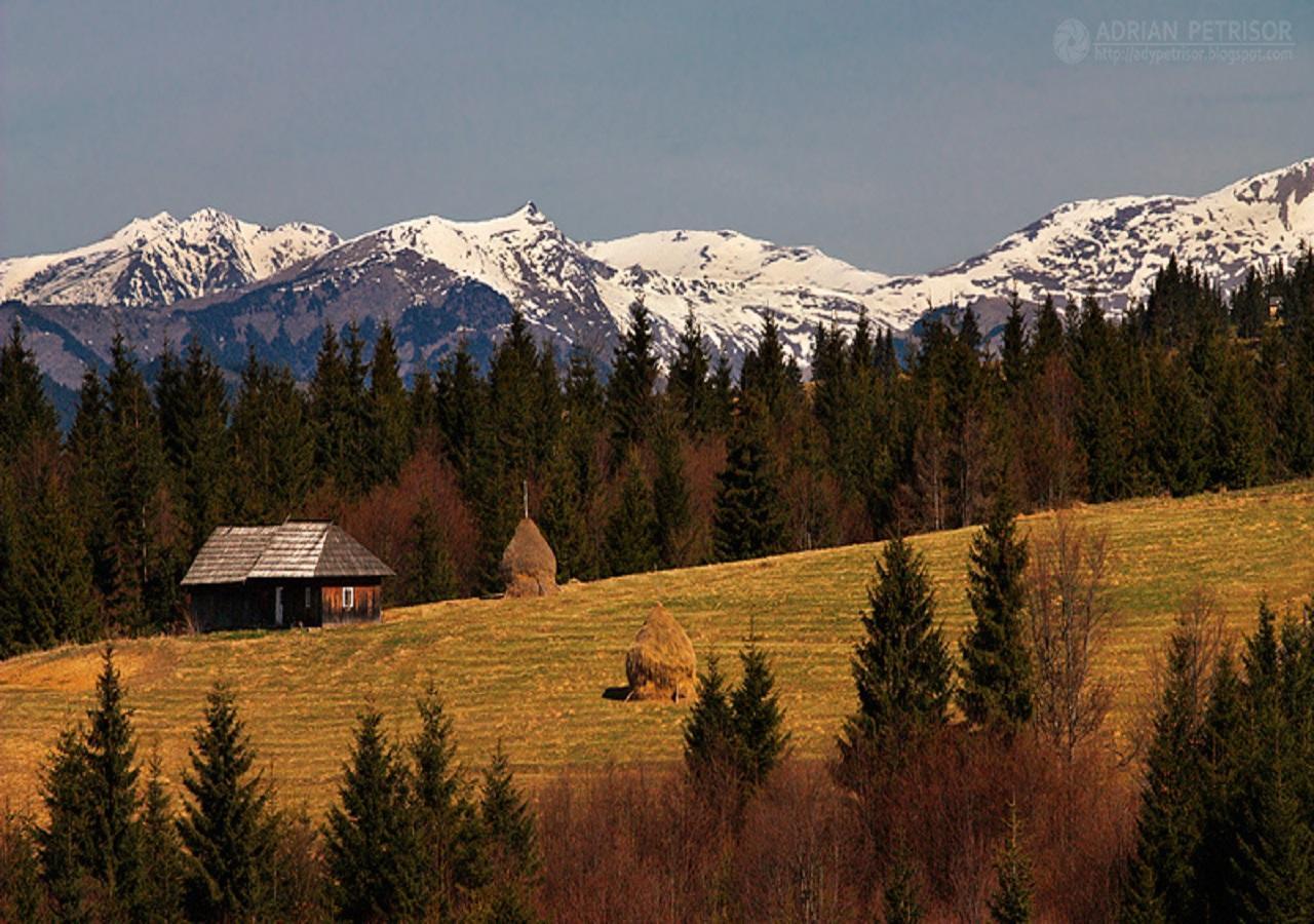 Popasul Transilvania Piatra Fântânele Eksteriør bilde